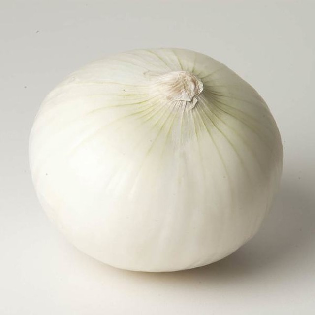 양파 이미지