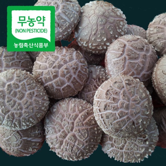 하이팜 이미지