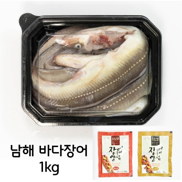 남해바다장어 이미지