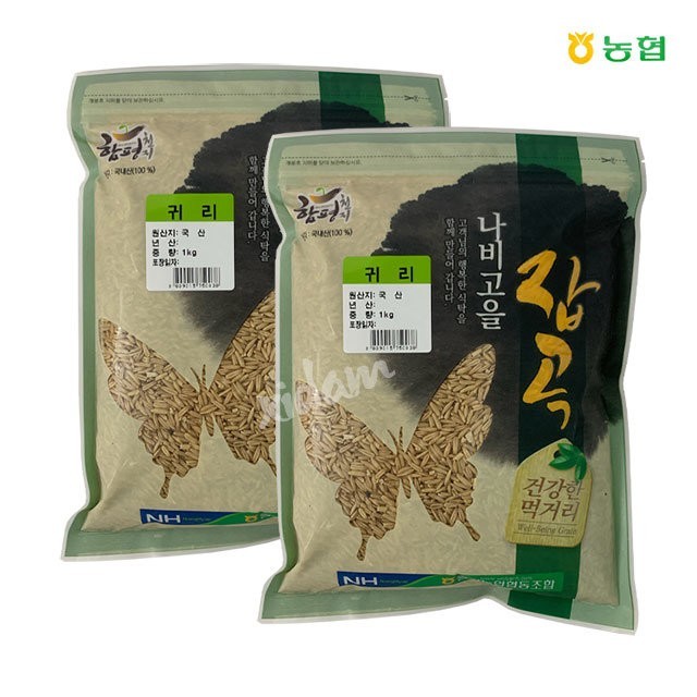 월야 이미지