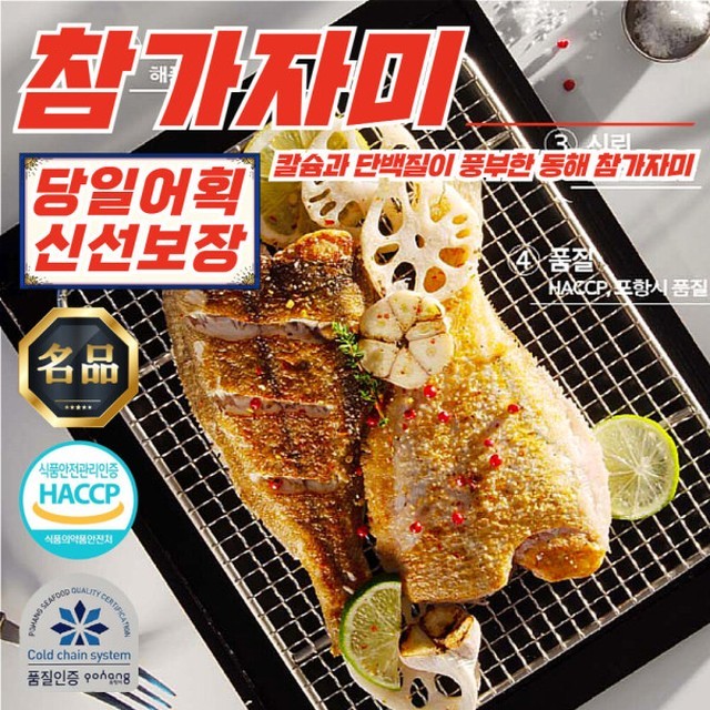 양포어장 이미지