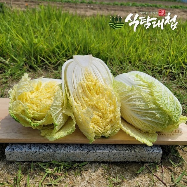 식탐 이미지