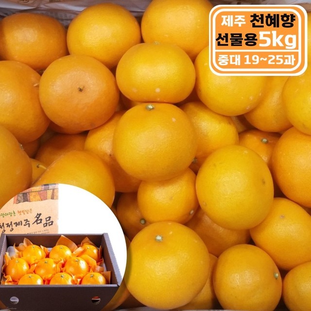 과일 이미지