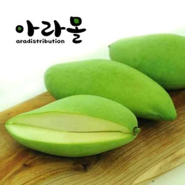 아라몰 이미지
