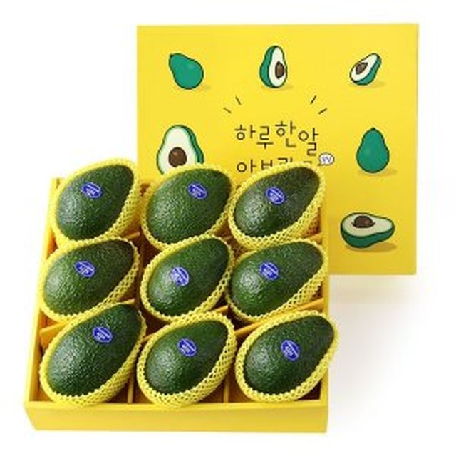 SOUP 이미지