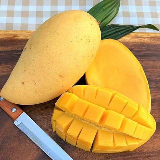 망고랑 이미지