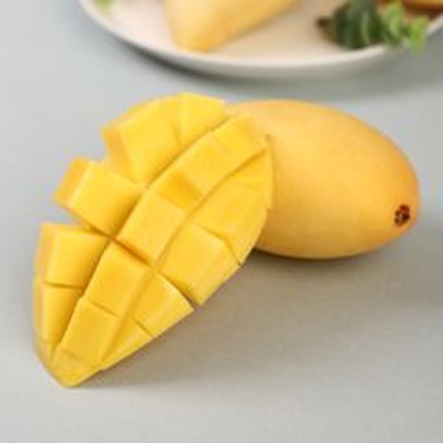 망고 이미지