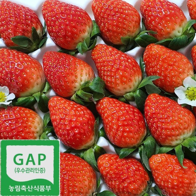 딸기 이미지