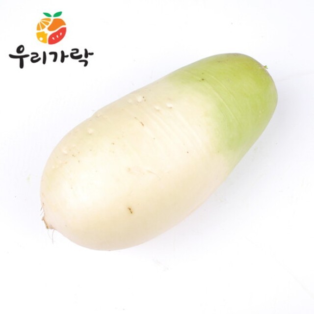 무 이미지