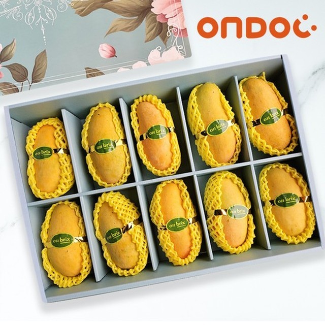 온도씨 이미지