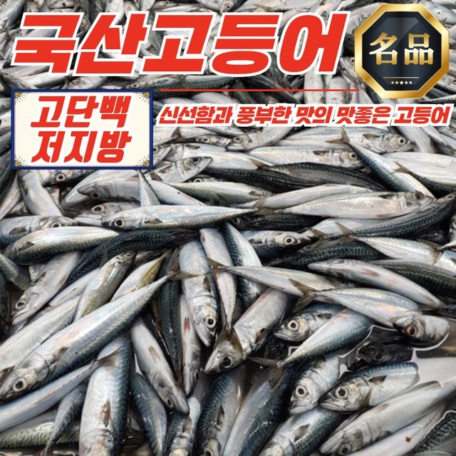 고등어 이미지