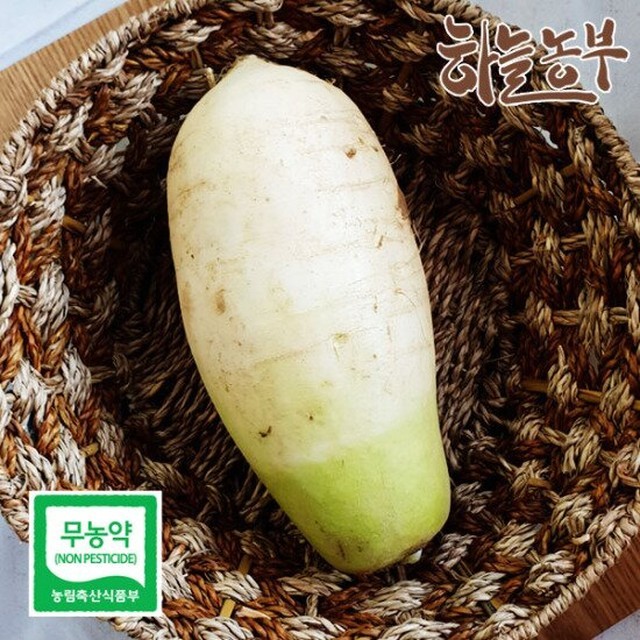 무 이미지