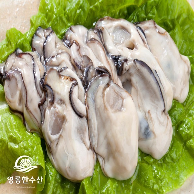 굴 이미지