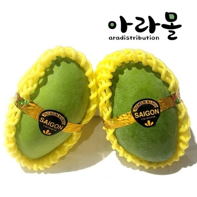 아라몰 이미지