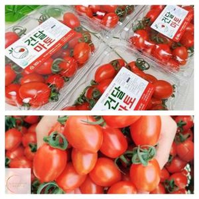토마토 이미지