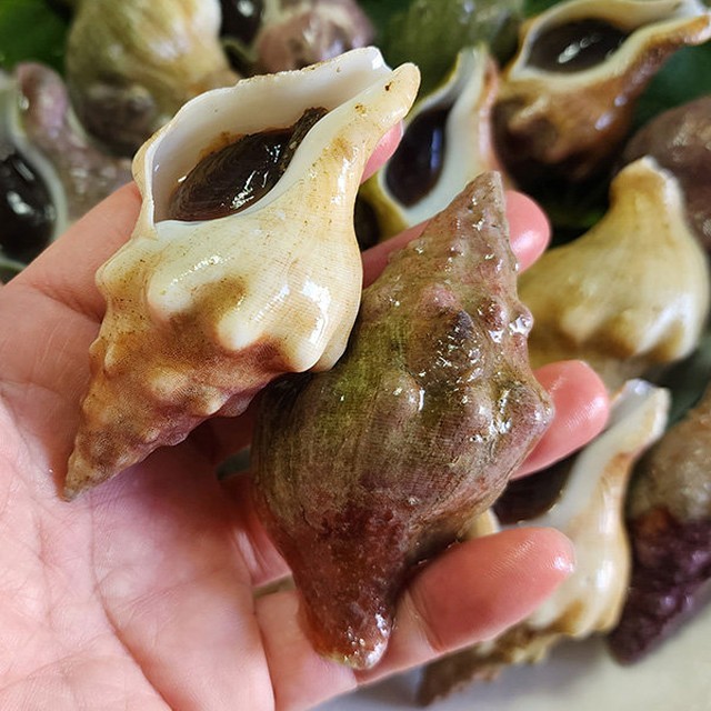 바다마켓 이미지