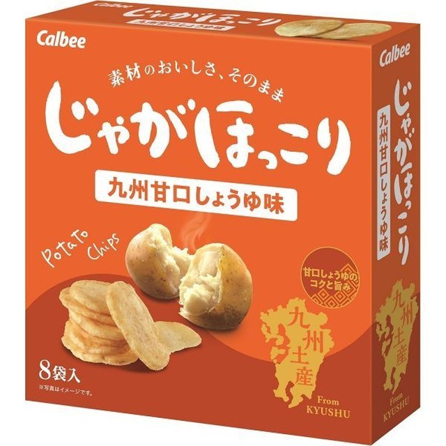홋코리 이미지