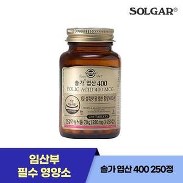 솔가 이미지