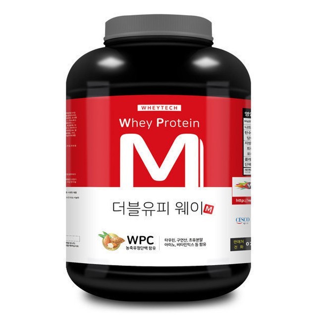 더블유피 이미지