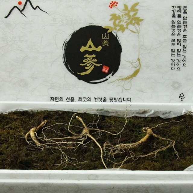 청정지대 이미지