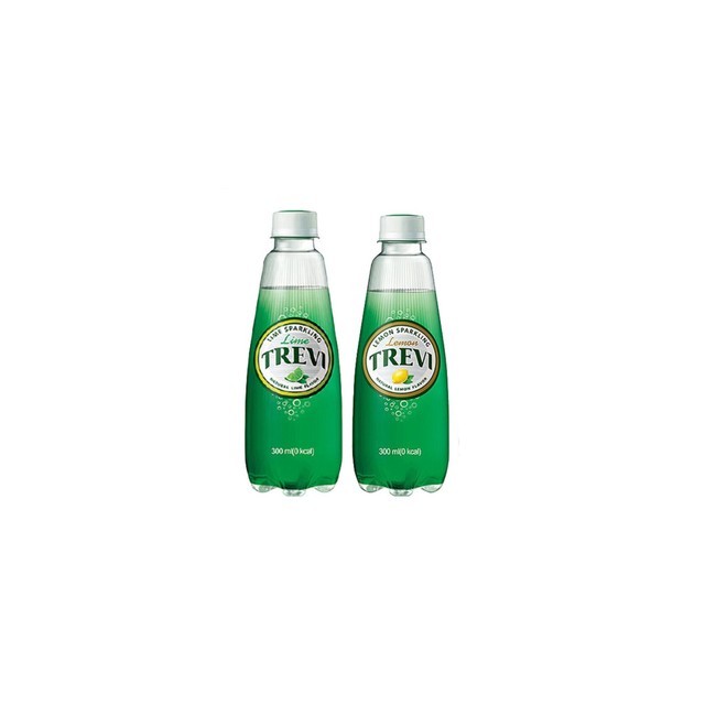 트레비 이미지
