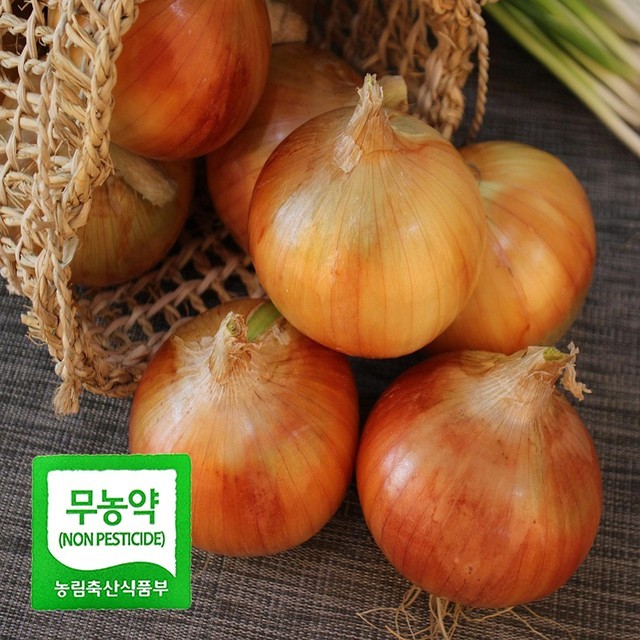 양파 이미지