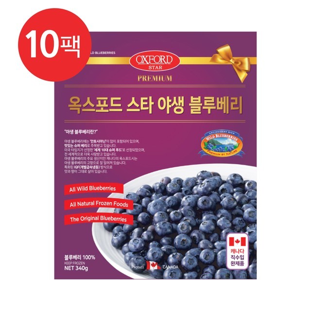 블루베리 이미지