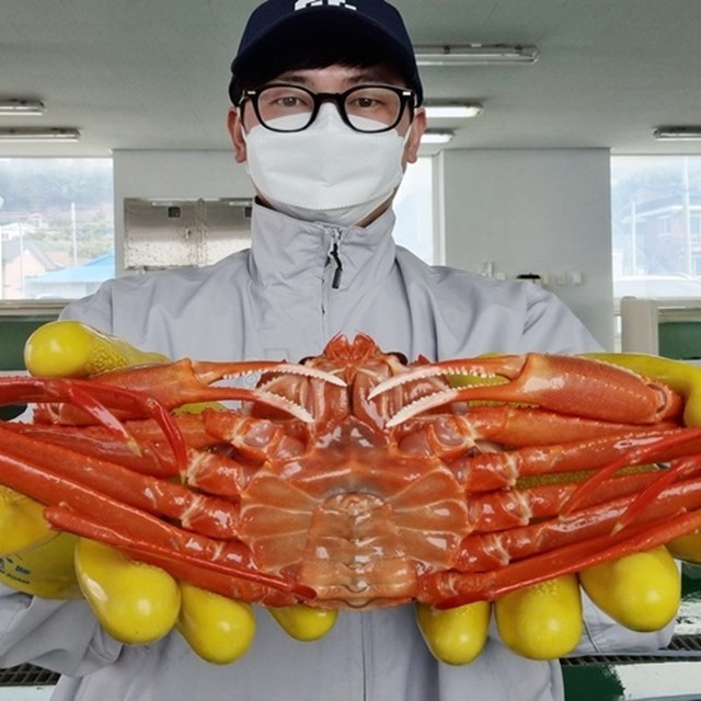 대흥 이미지