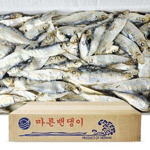 상상이상 이미지