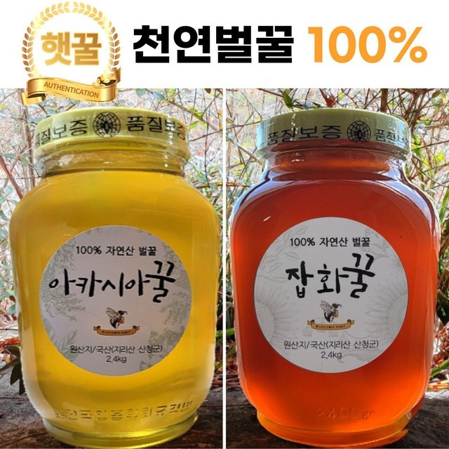 아카시아 이미지