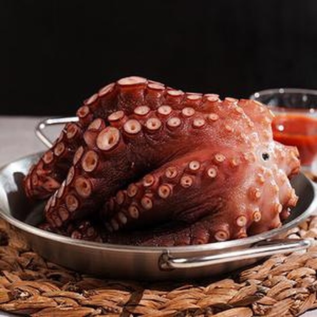 문어야 이미지
