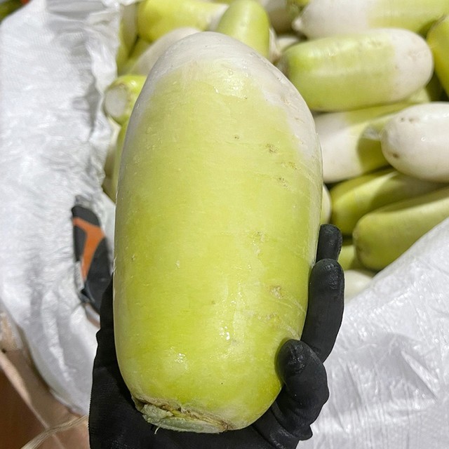 무 이미지
