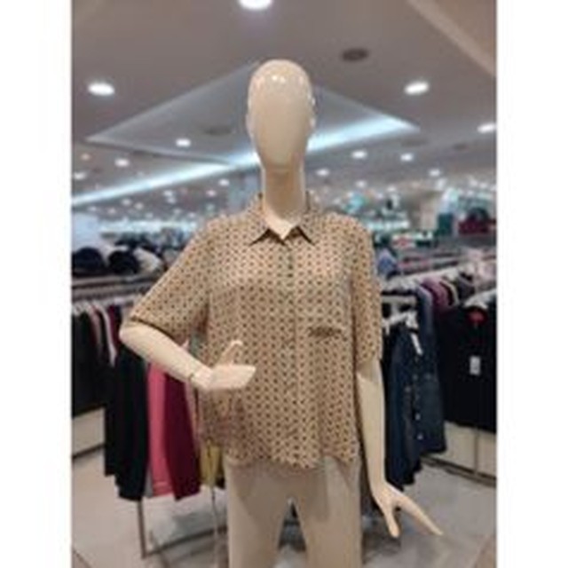 크로크다일레이디 이미지
