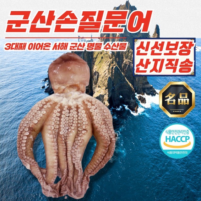 문어야 이미지