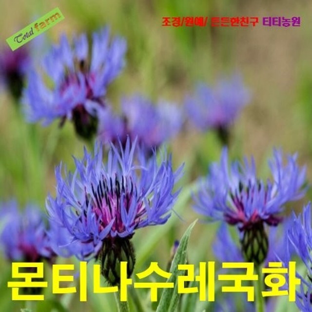 씨앗 이미지