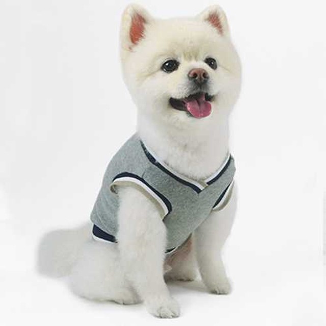 제이오와이 이미지