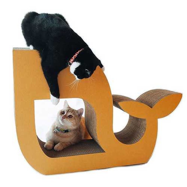 카포 이미지