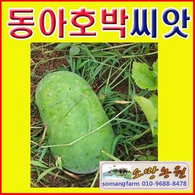 동아농원 이미지