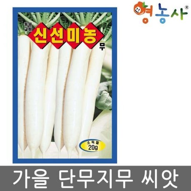 씨앗 이미지