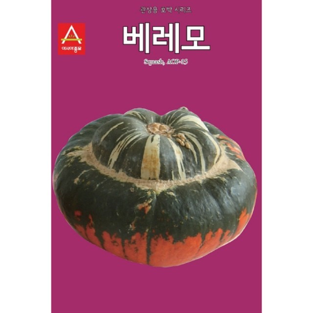 씨앗 이미지