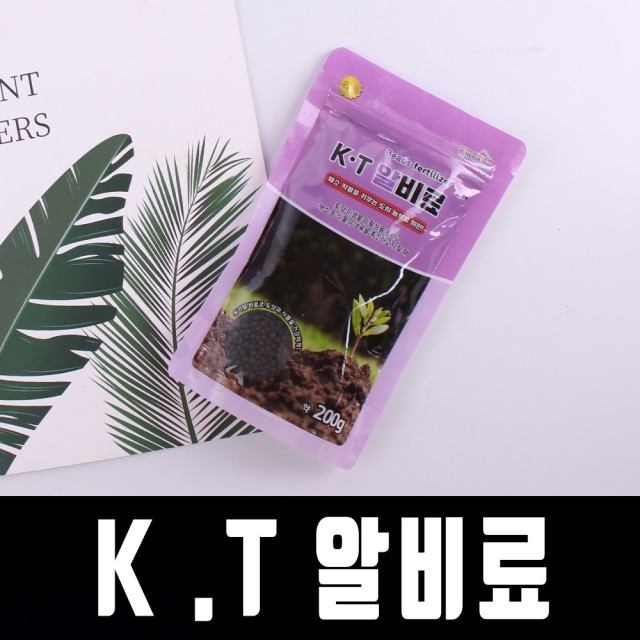 알케이티 이미지