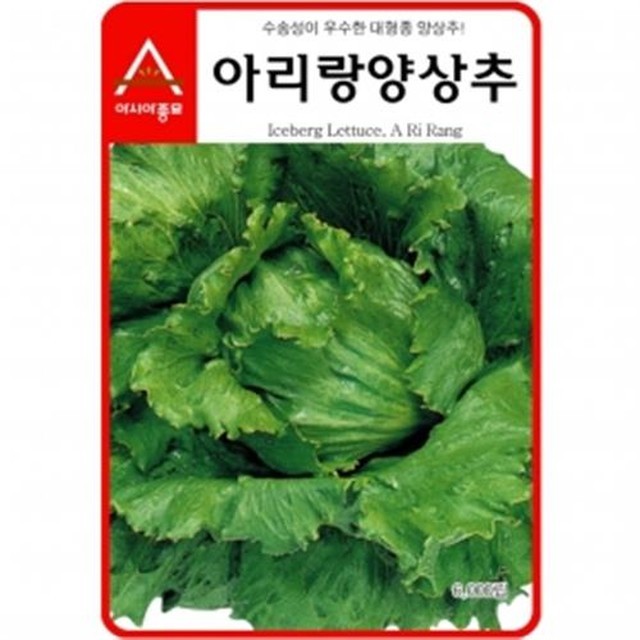 씨앗 이미지