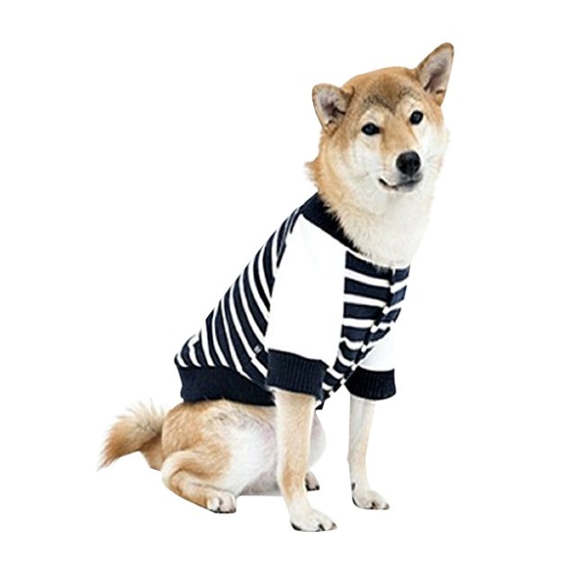 아꼬떼 이미지