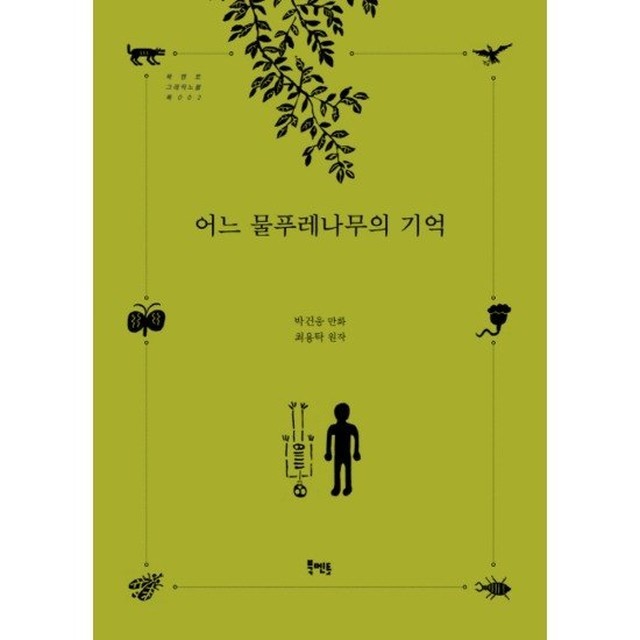 나무그래픽 이미지