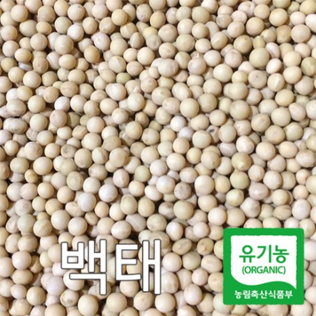 산들바람 이미지
