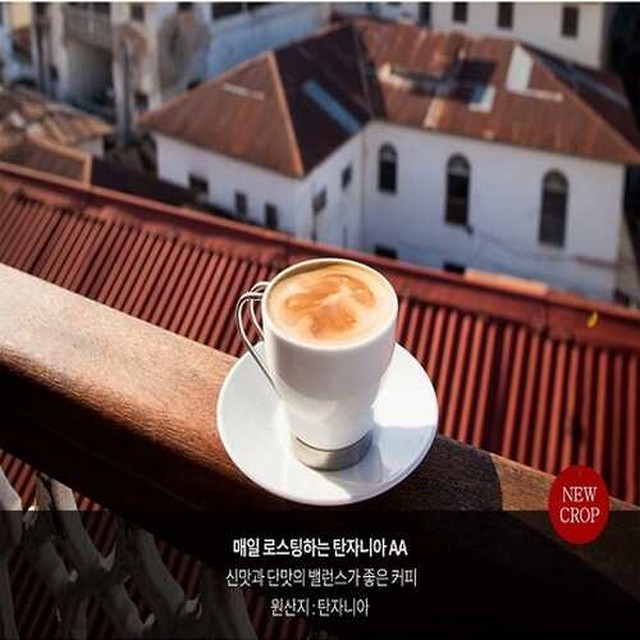 빈스 이미지