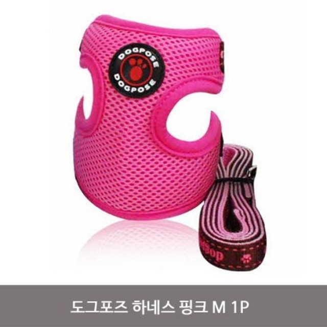 이지도그 이미지