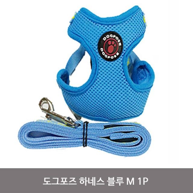 이지도그 이미지