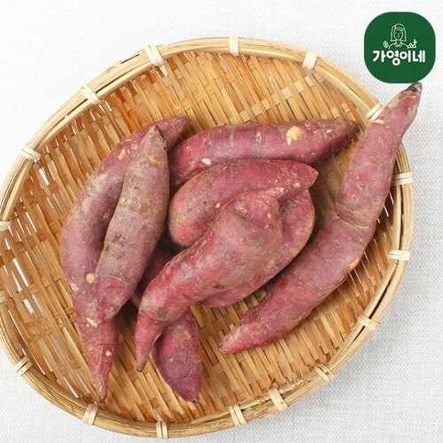 가영이네 이미지
