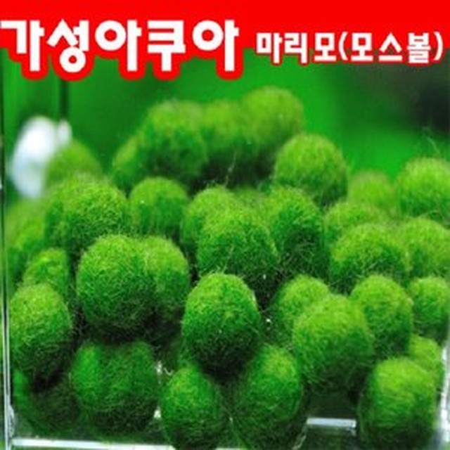 (주)가성 이미지